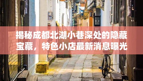 揭秘成都北湖小巷深处的隐藏宝藏，特色小店最新消息曝光（2024年11月14日）