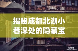 揭秘成都北湖小巷深处的隐藏宝藏,特色小店最新消息曝光(2024年11月14日)