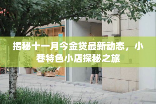 揭秘十一月今金贷最新动态，小巷特色小店探秘之旅
