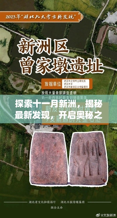探索十一月新洲，揭秘最新发现，开启奥秘之旅