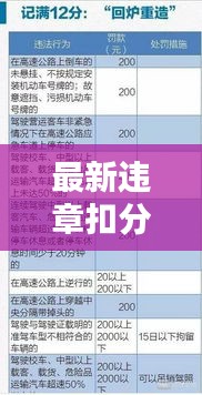 最新违章扣分处理全攻略，适合初学者与进阶用户（11月14日更新版）