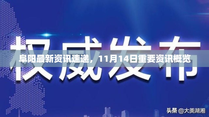 关于我们 第346页