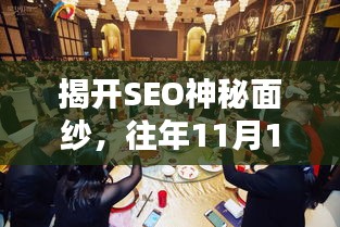 揭开SEO神秘面纱，往年11月14日任飘渺最新动态揭秘