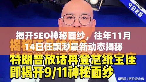 揭开SEO神秘面纱,往年11月14日任飘渺最新动态揭秘