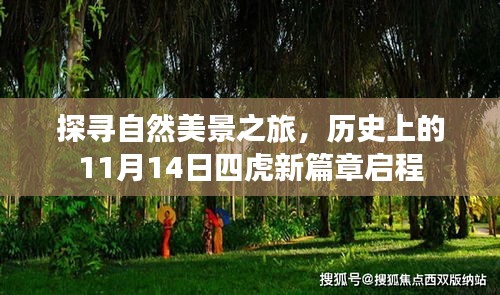 探寻自然美景之旅，历史上的11月14日四虎新篇章启程