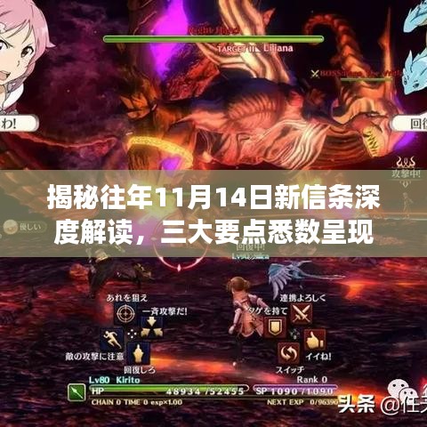揭秘往年11月14日新信条深度解读，三大要点悉数呈现
