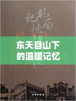 东天目山下的温暖记忆，最新往生视频揭秘11月14日的日常奇迹