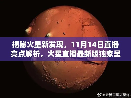 揭秘火星新发现，11月14日直播亮点解析，火星直播最新版独家呈现