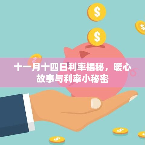 十一月十四日利率揭秘，暖心故事与利率小秘密