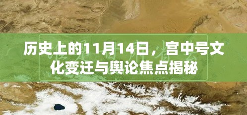 历史上的11月14日，宫中号文化变迁与舆论焦点揭秘