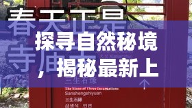 探寻自然秘境,揭秘最新上市好股票助你心灵之旅启程!