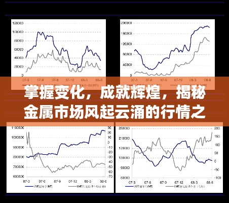掌握变化，成就辉煌，揭秘金属市场风起云涌的行情之旅（2024年金属市场最新动态）