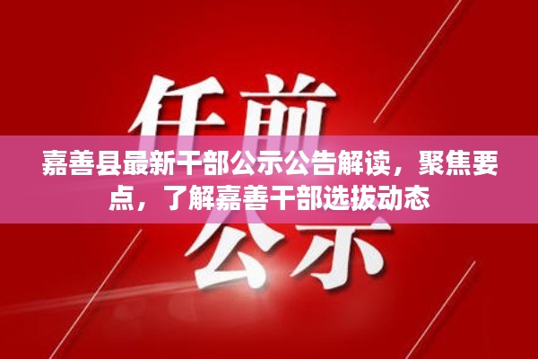 嘉善县最新干部公示公告解读，聚焦要点，了解嘉善干部选拔动态