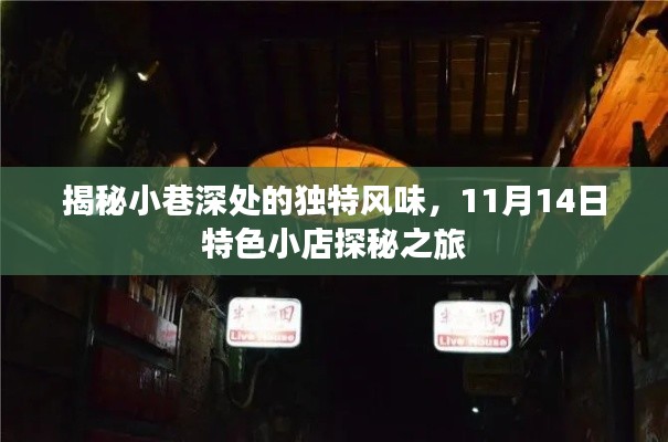 揭秘小巷深处的独特风味，11月14日特色小店探秘之旅