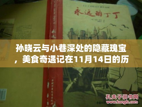 孙晓云与小巷深处的隐藏瑰宝，美食奇遇记在11月14日的历史时刻