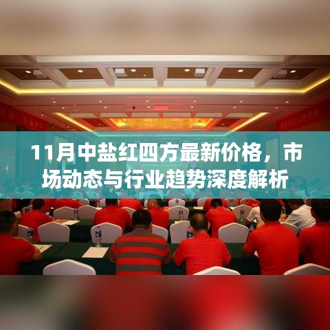 11月中盐红四方最新价格，市场动态与行业趋势深度解析
