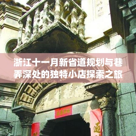浙江十一月新省道规划与巷弄深处的独特小店探索之旅