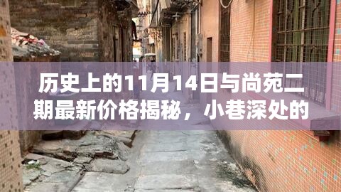 历史上的11月14日与尚苑二期最新价格揭秘，小巷深处的秘境探秘