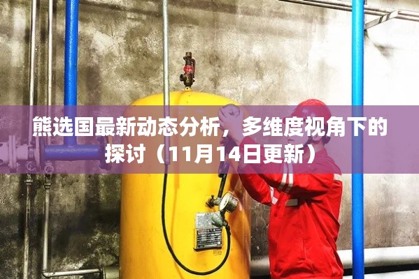 熊选国最新动态分析，多维度视角下的探讨（11月14日更新）