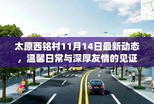 太原西铭村11月14日最新动态，温馨日常与深厚友情的见证
