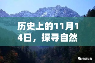 历史上的11月14日，探寻自然美景与内心平和，最新价与市价概览