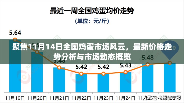聚焦11月14日全国鸡蛋市场风云，最新价格走势分析与市场动态概览