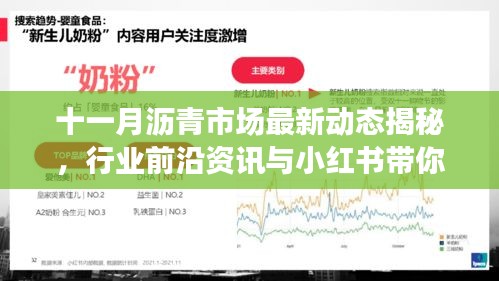 十一月沥青市场最新动态揭秘，行业前沿资讯与小红书带你洞悉市场风云