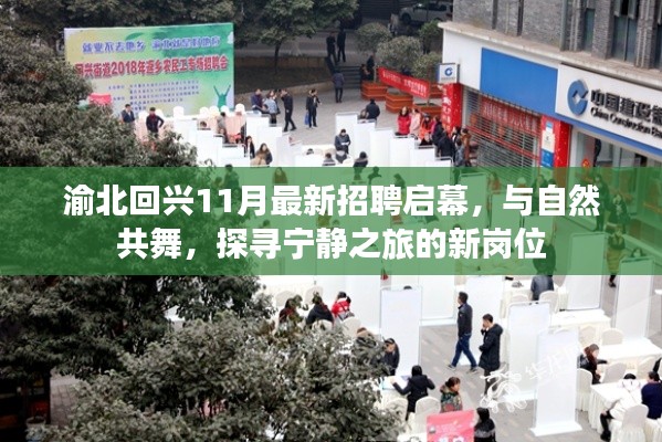 渝北回兴11月最新招聘启幕，与自然共舞，探寻宁静之旅的新岗位