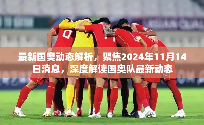 最新国奥动态解析，聚焦2024年11月14日消息，深度解读国奥队最新动态