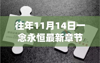 往年11月14日一念永恒最新章节回顾与探讨，深度解读与阅读体验分享