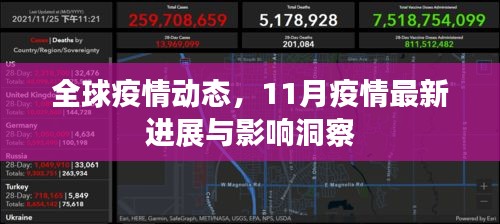 全球疫情动态，11月疫情最新进展与影响洞察