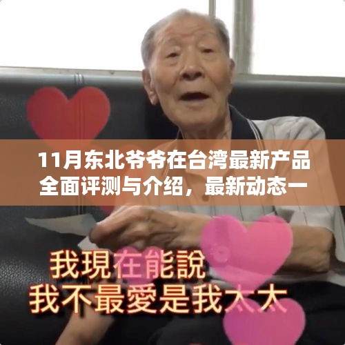 11月东北爷爷在台湾最新产品全面评测与介绍，最新动态一览