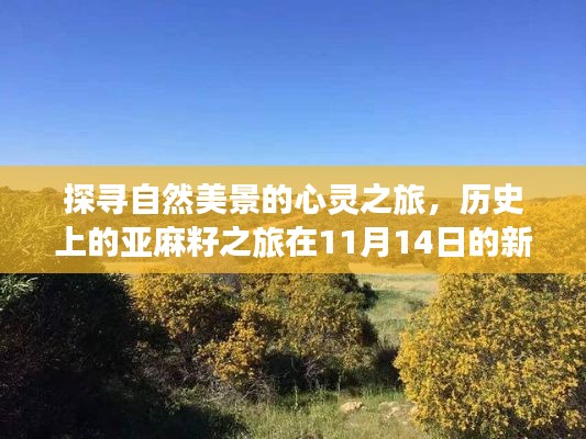 鹤立鸡群 第4页