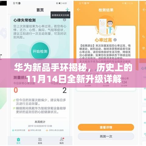 华为新品手环揭秘，历史上的11月14日全新升级详解