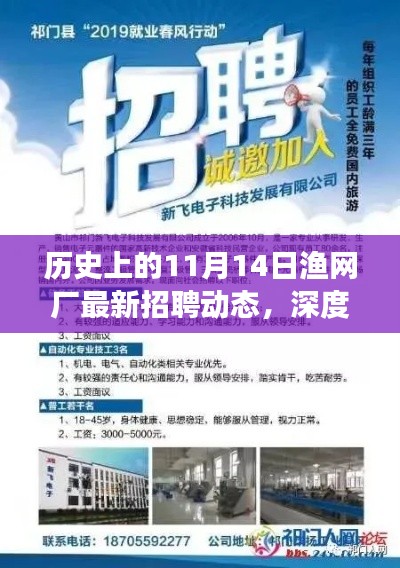 历史上的11月14日渔网厂最新招聘动态，深度解读与观点阐述