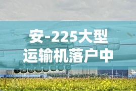 安-225大型运输机落户中国最新动态（截至11月14日）