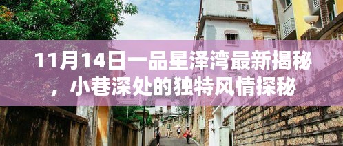 11月14日一品星泽湾最新揭秘，小巷深处的独特风情探秘