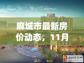 麻城市最新房价动态,11月14日温馨探房之旅