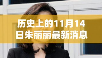 历史上的11月14日朱丽丽最新消息深度解析与影响阐述
