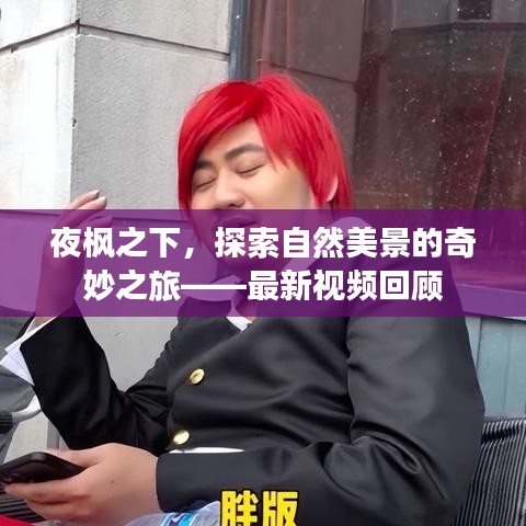 关于我们 第342页