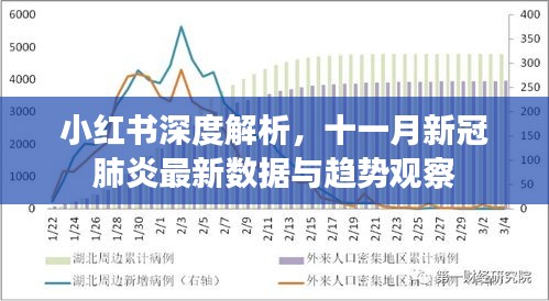 小红书深度解析，十一月新冠肺炎最新数据与趋势观察