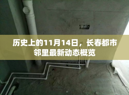 历史上的11月14日，长春都市邻里最新动态概览