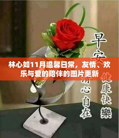 林心如11月温馨日常，友情、欢乐与爱的陪伴的图片更新