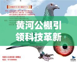 黄河公棚引领科技革新，揭秘最新高科技产品，开启未来生活新篇章体验