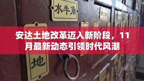 安达土地改革迈入新阶段，11月最新动态引领时代风潮