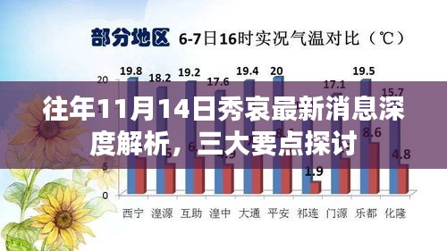 往年11月14日秀哀最新消息深度解析，三大要点探讨