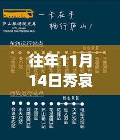 往年11月14日秀哀最新消息深度解析,三大要点探讨