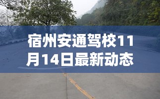 第2004页
