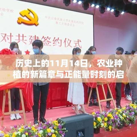 历史上的11月14日，农业种植的新篇章与正能量时刻的启示