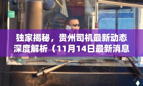 独家揭秘，贵州司机最新动态深度解析（11月14日最新消息）